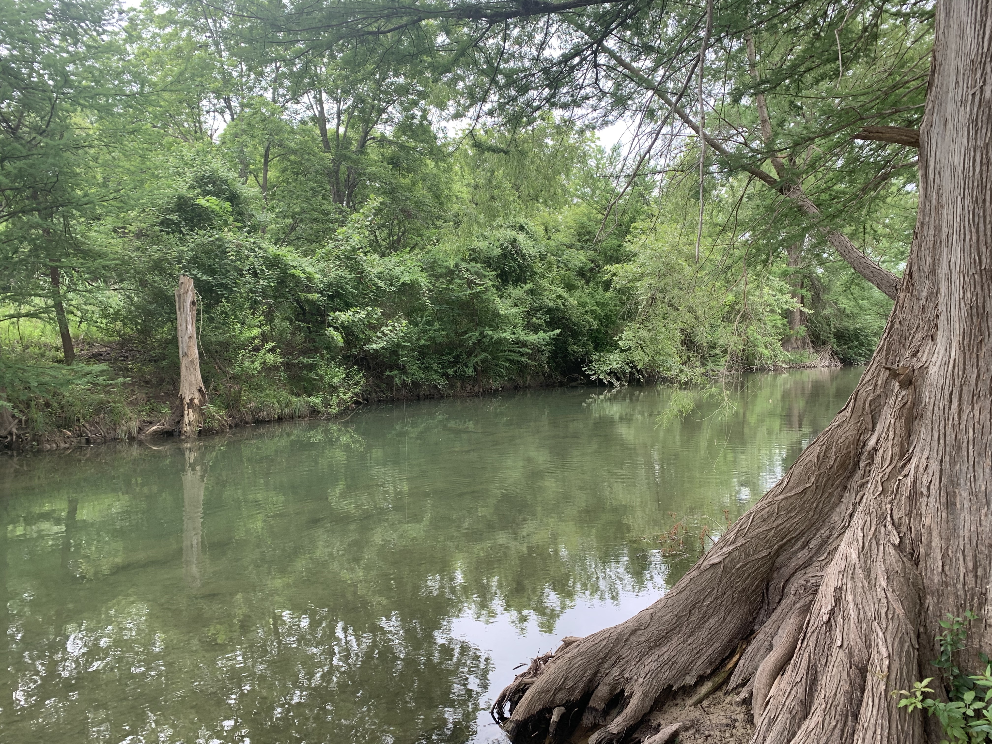 Bandera Star Riverfront Camping and RV Resort