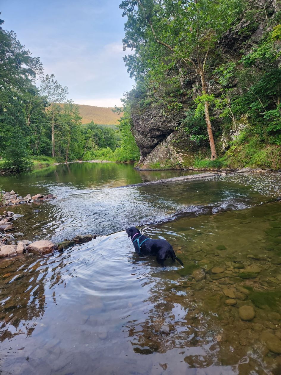 River's Edge Campground, Bergton, Virginia