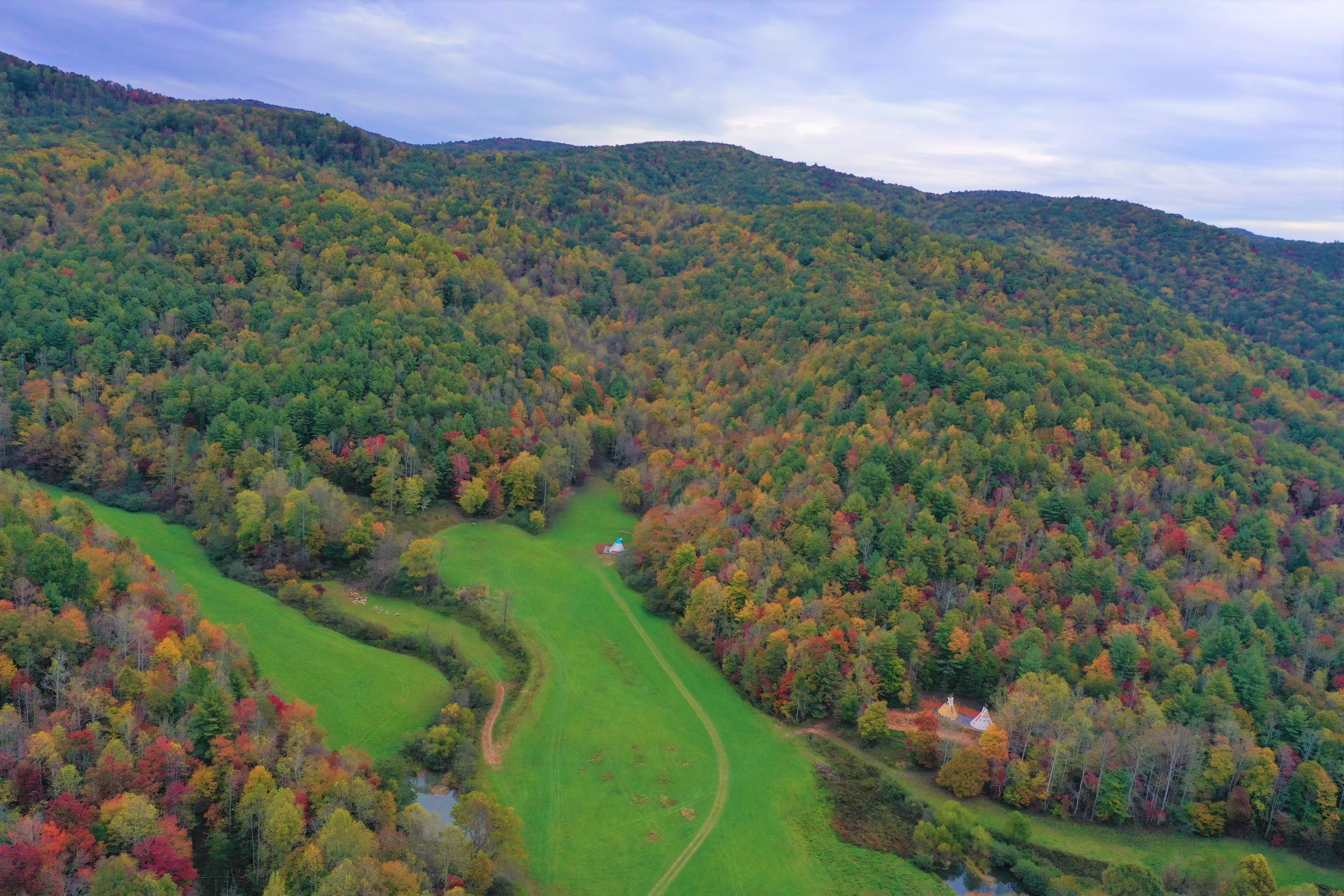 Blue Ridge Ranch, Ferguson, North Carolina