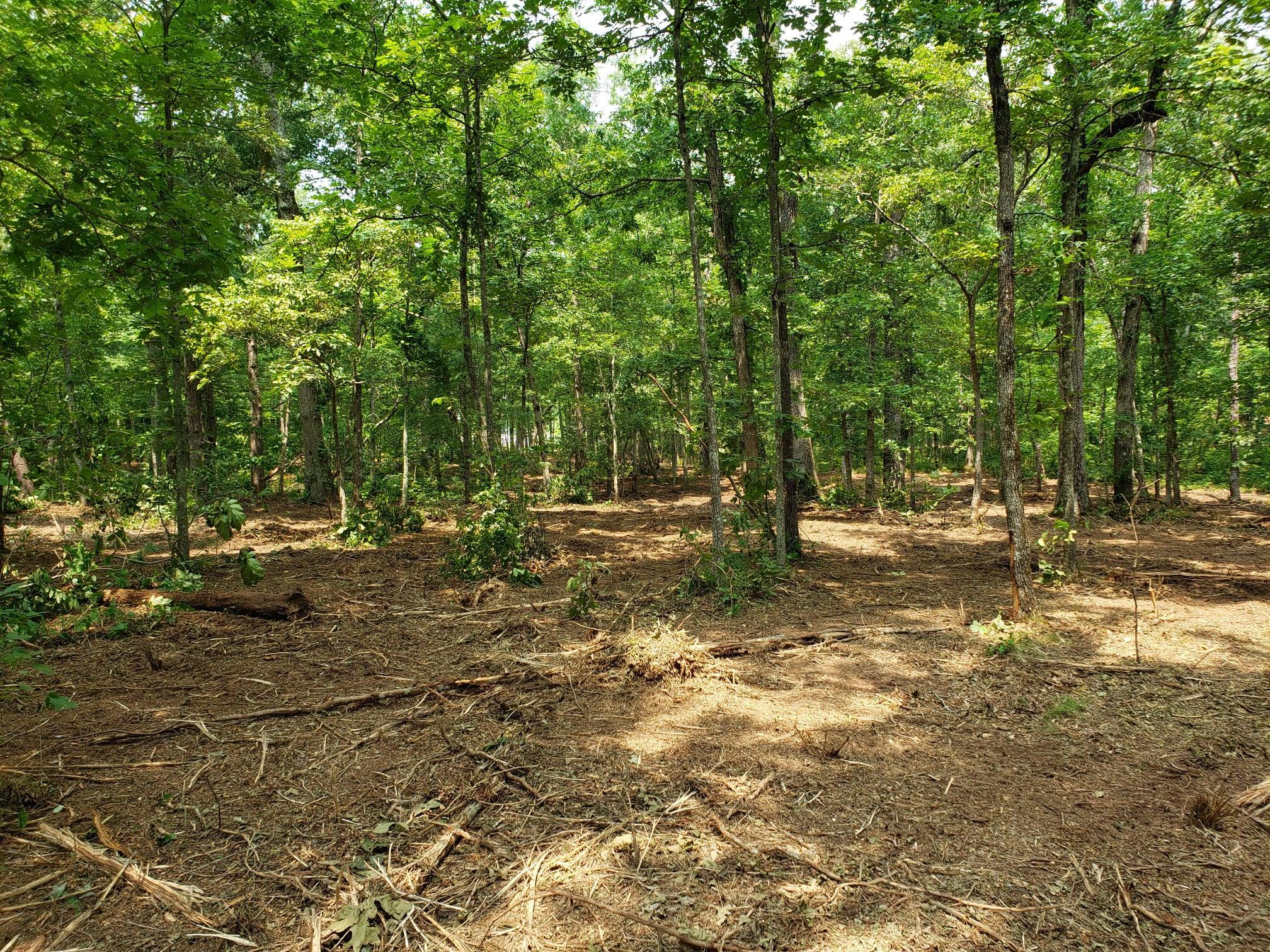 Paradise On The Mountain RV Park