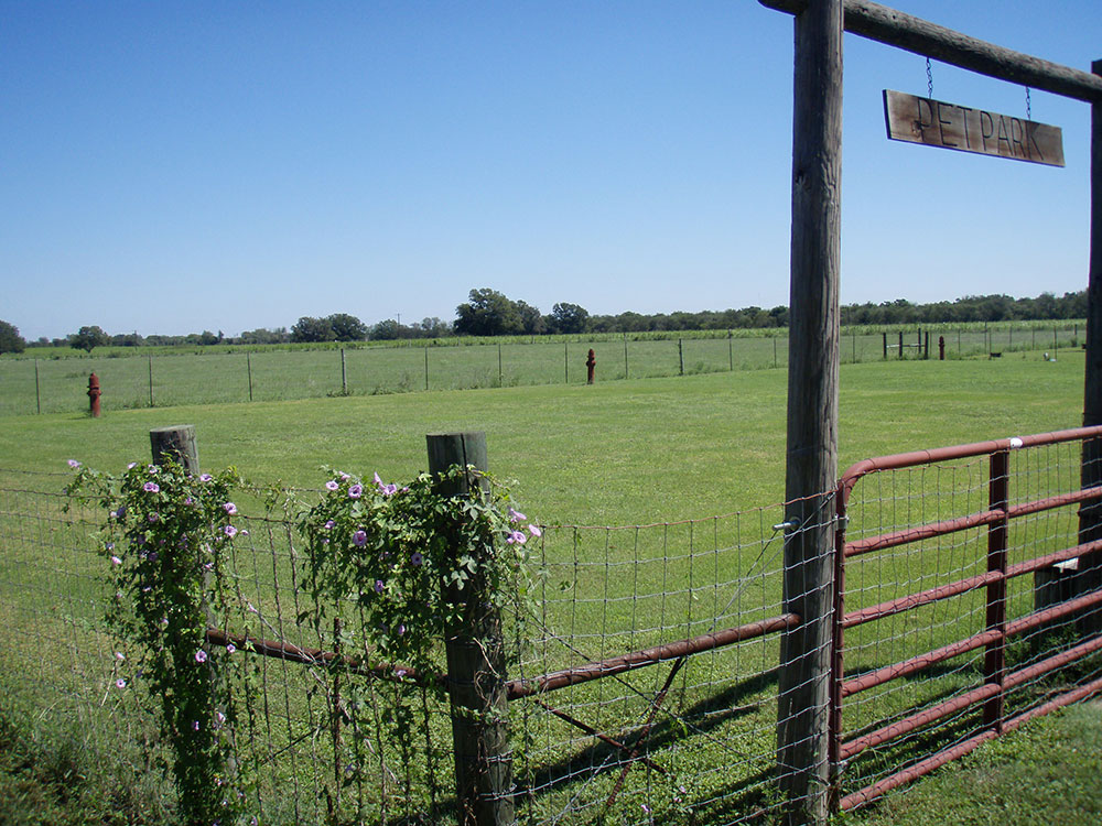 San Marcos River Resort