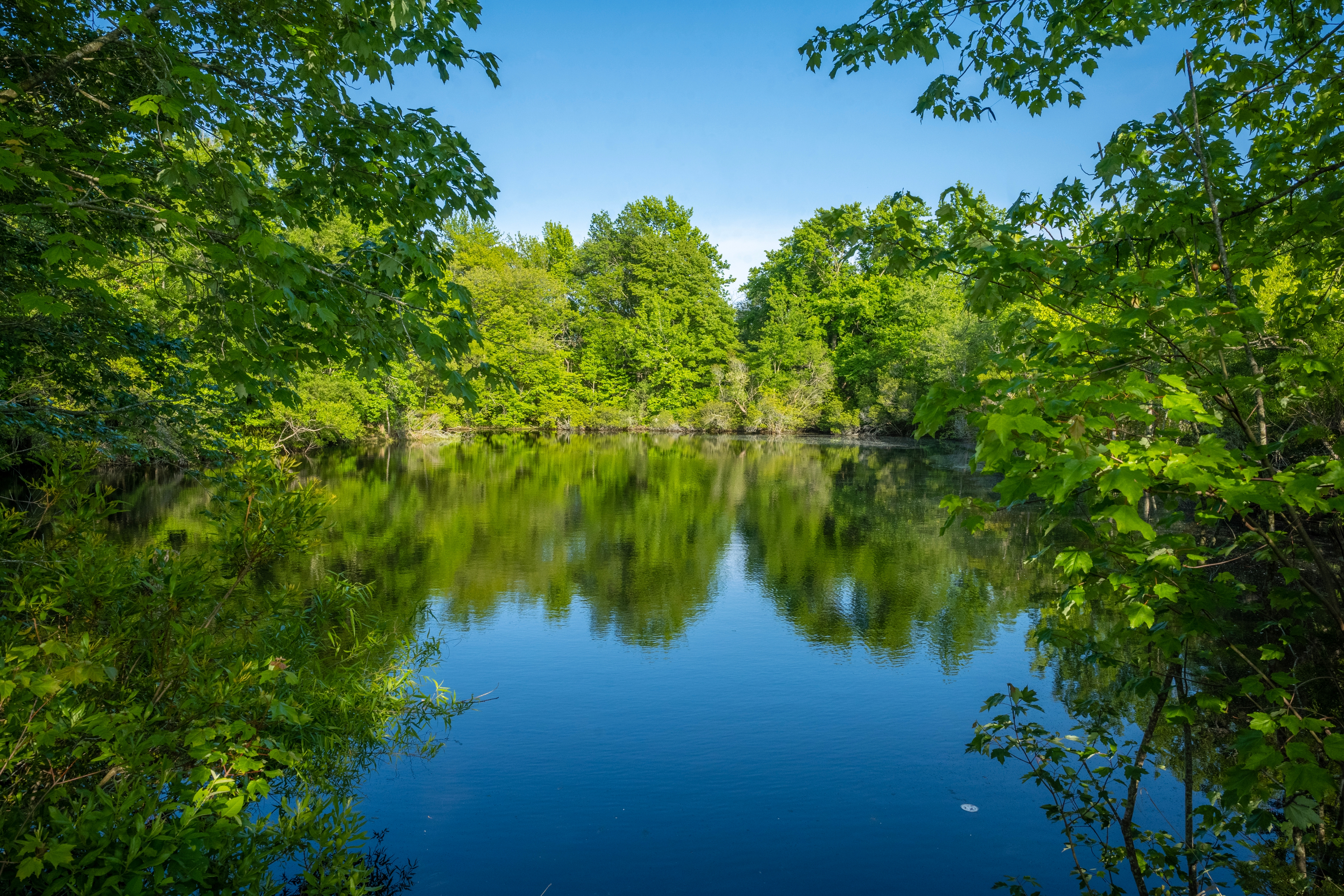 Sun Outdoors Cape May