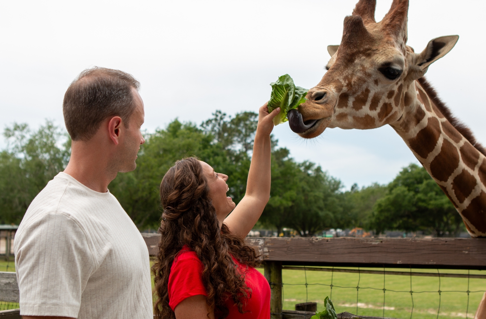 Wild Adventures Safari Campground, Valdosta, Georgia