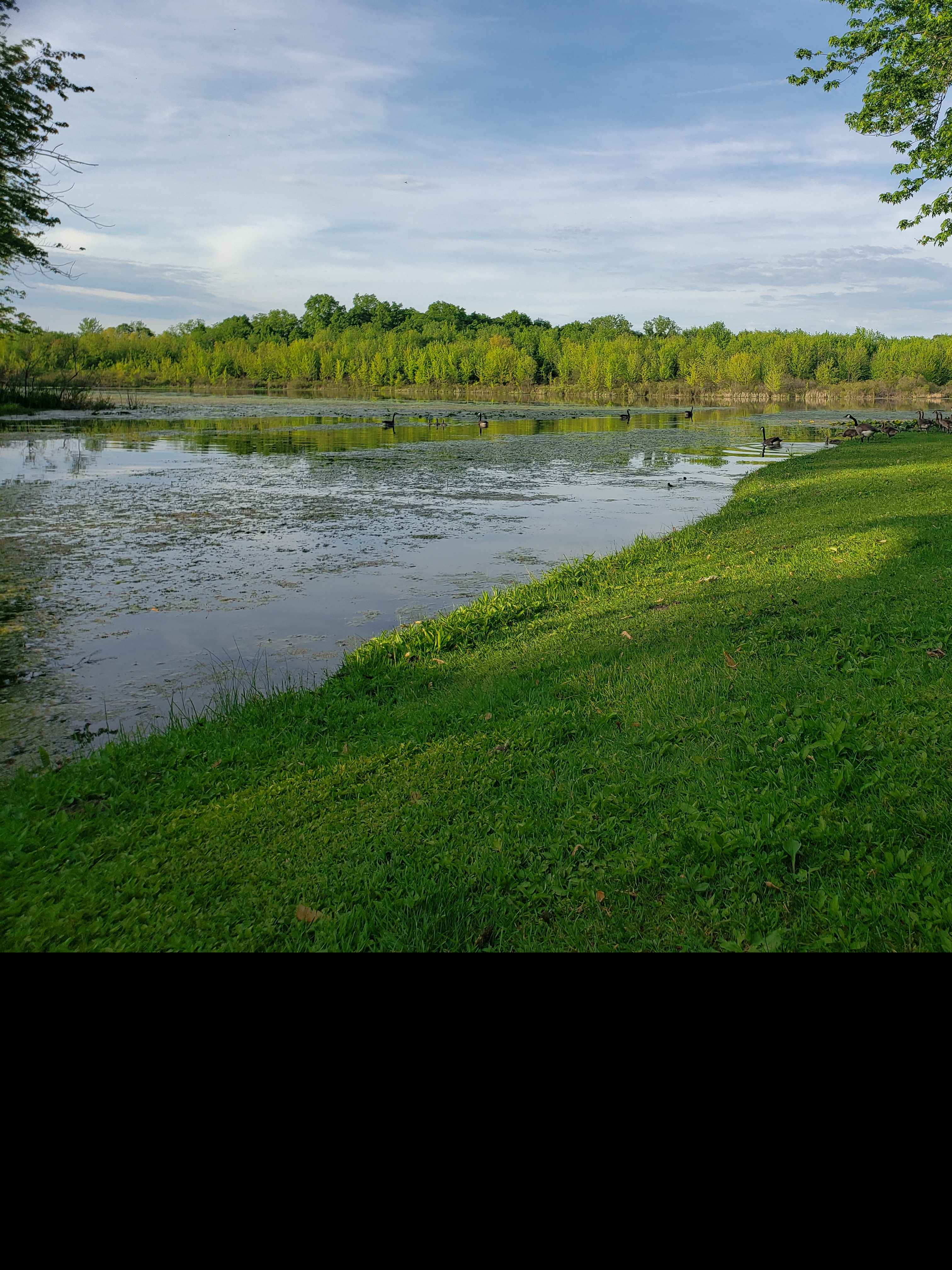 Fish Lake Family Resort, Fremont, Indiana