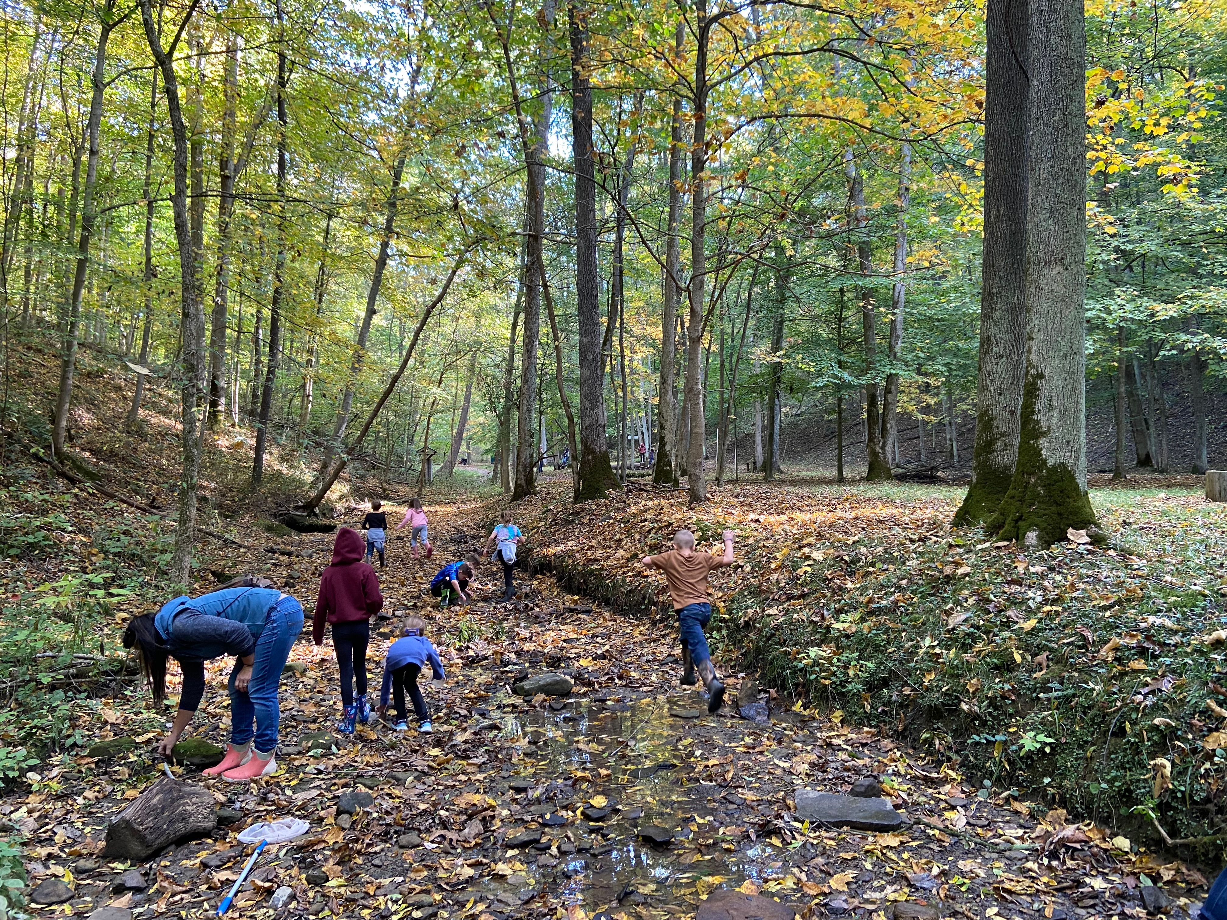 Deerassic Park Family Campground, Lore City, Ohio