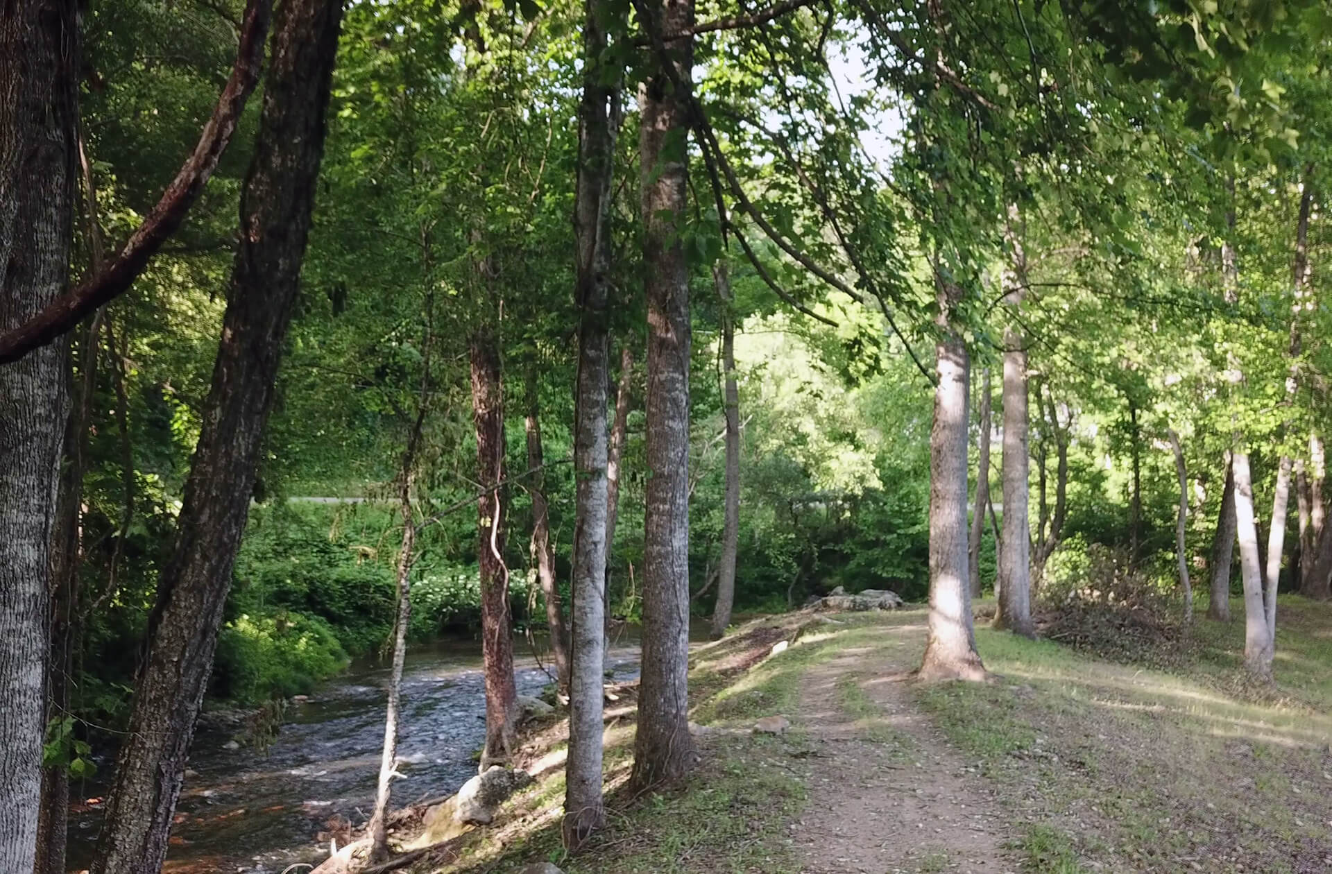 Armstrong Creek RV Park & Cabins, Marion, North Carolina