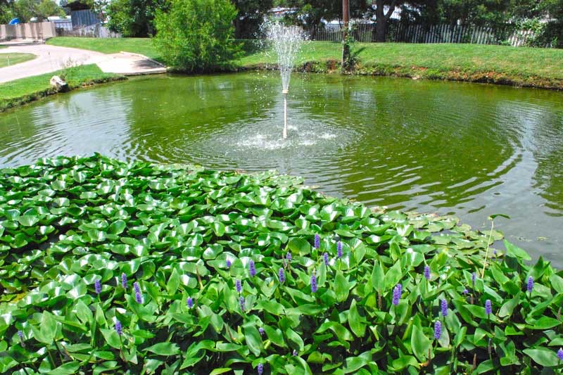 Fredericksburg RV Park, Fredericksburg, Texas