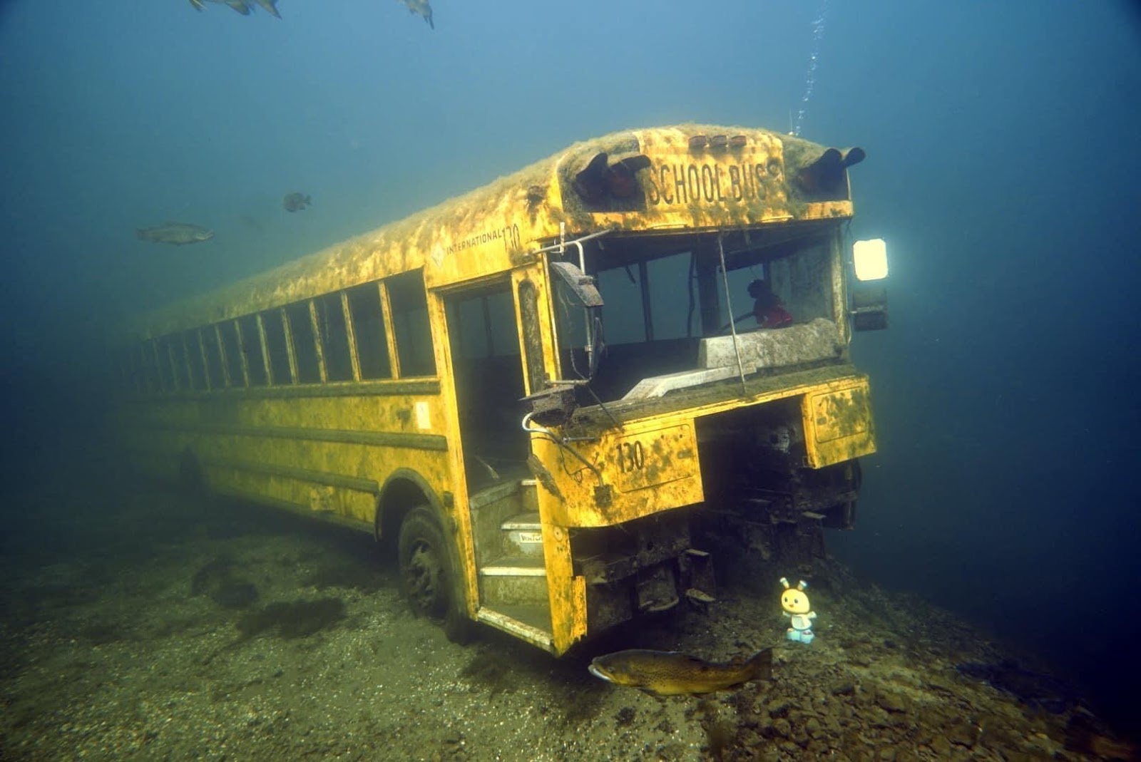 Gilboa Quarry RV Park & Campground, Ottawa, Ohio