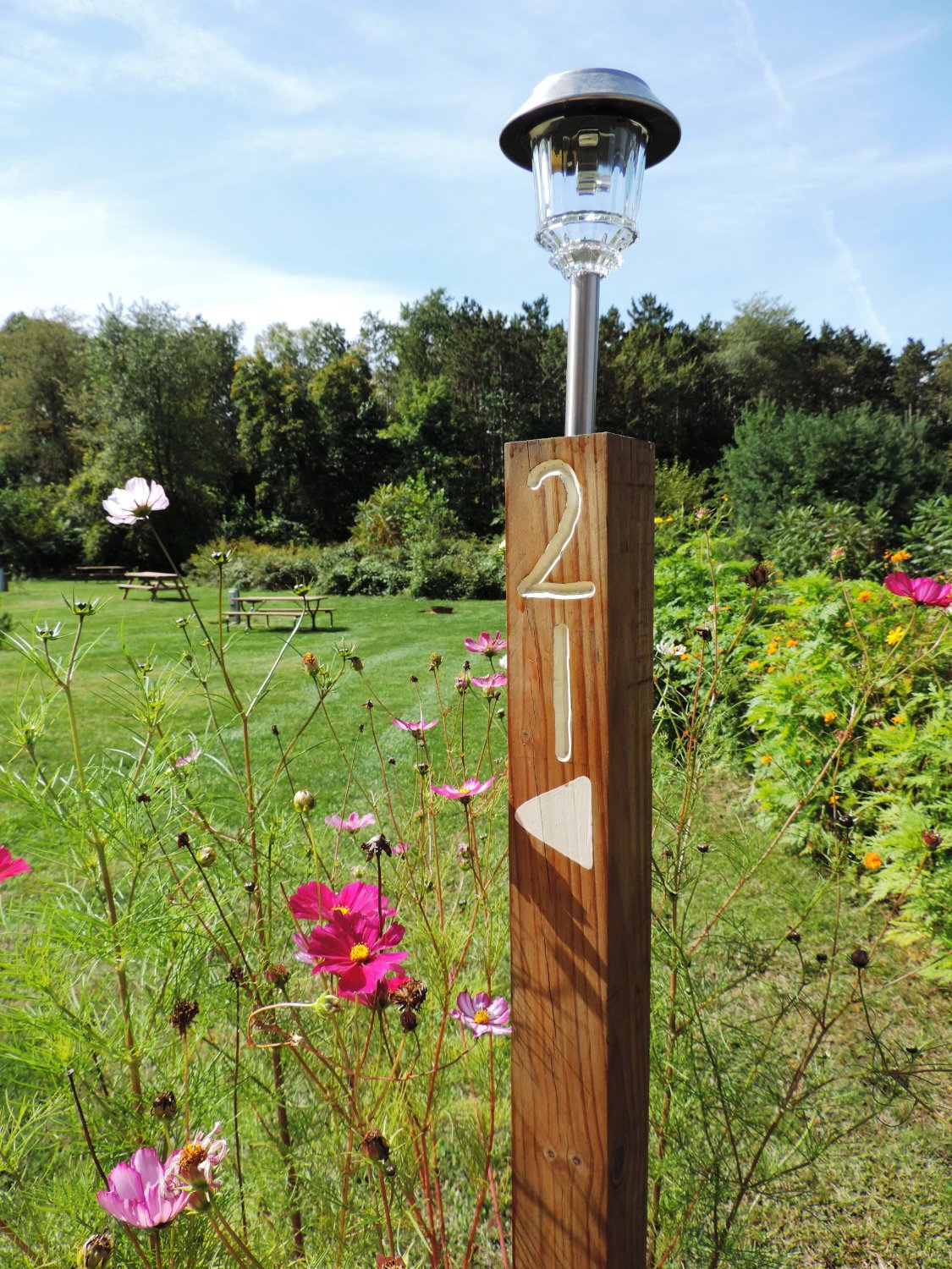 En Gedi Campground River Resort