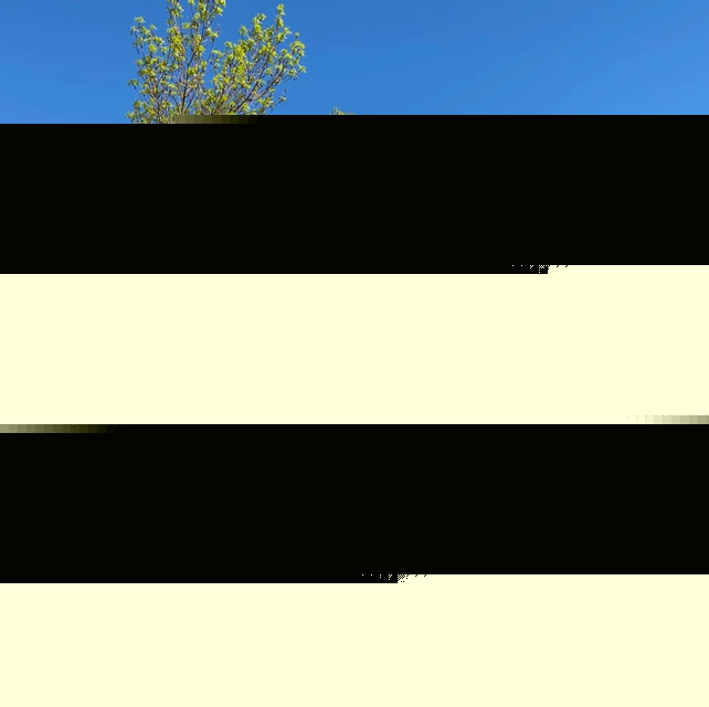 Blue Mesa Adventure Pods at Elk Creek Campground