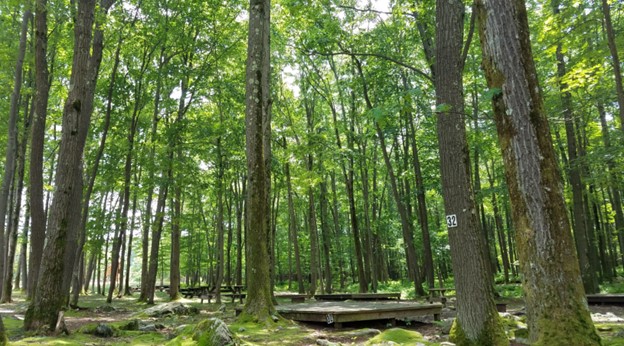 Big Bear Lake Camplands, Bruceton Mills, West Virginia