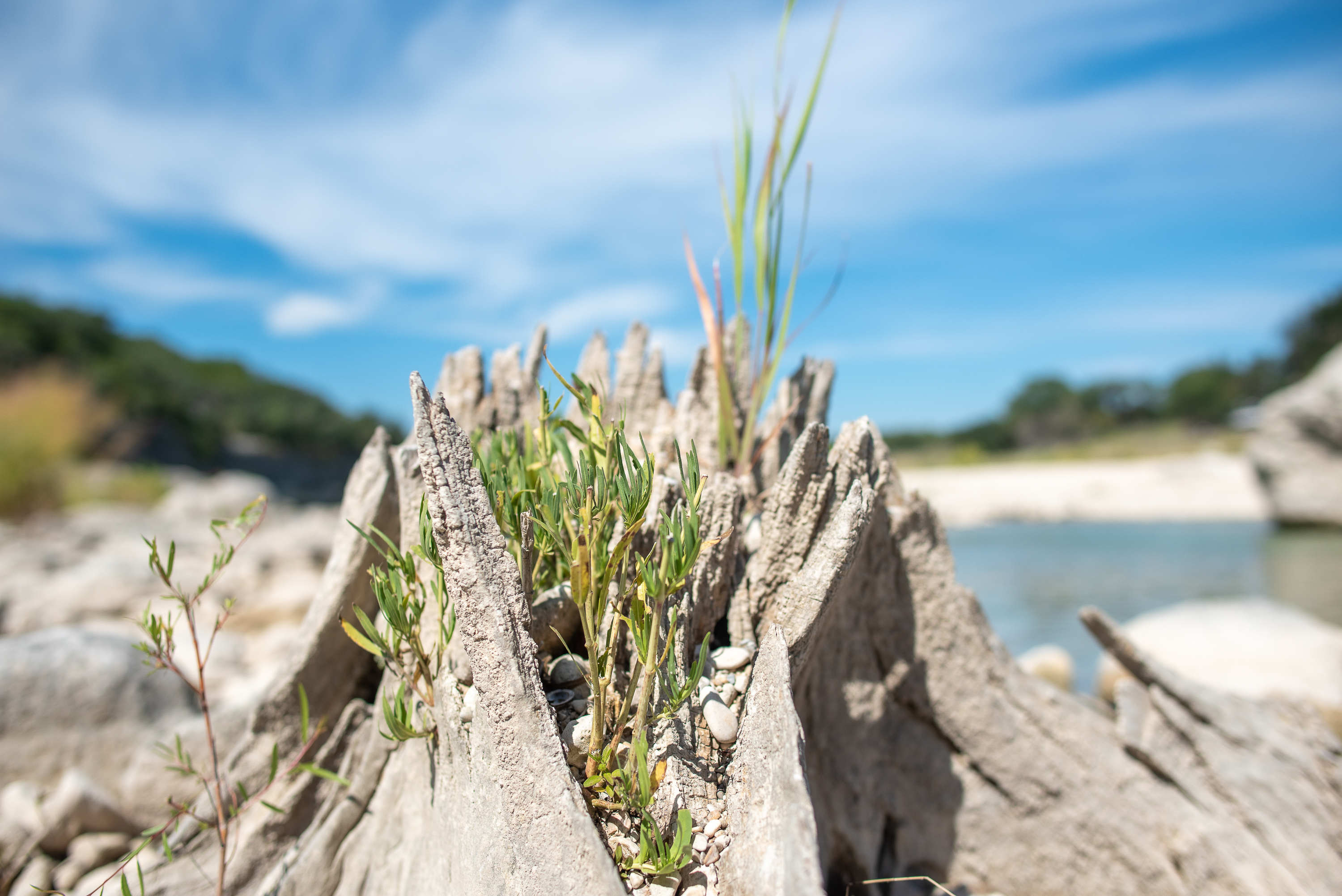 Boulderdash Cabin & RV Park, Bandera, Texas
