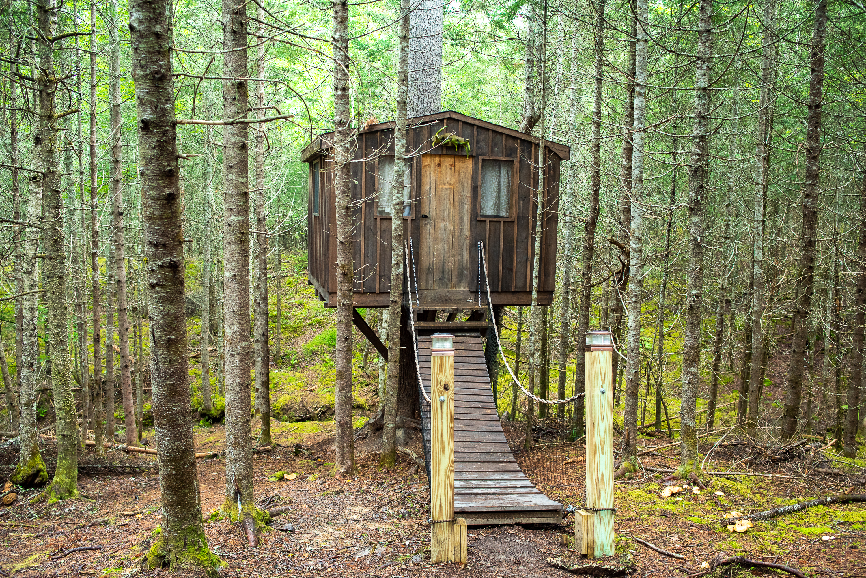 Cottonwood Camping and RV Park