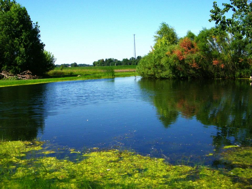 Gotta Getaway RV Park, Bellevue, Ohio