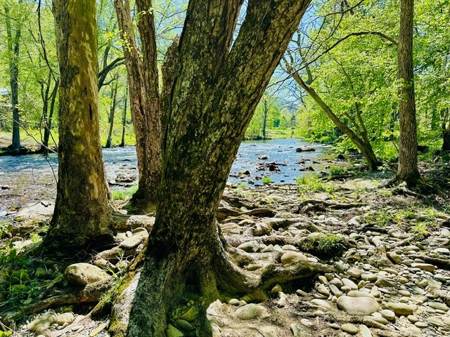 Uncle Jim's River Cove Campground, Sevierville, Tennessee