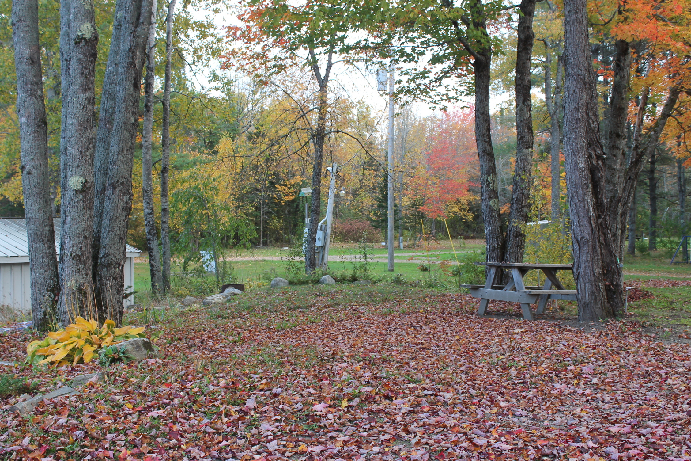 Mystic Valley Campground