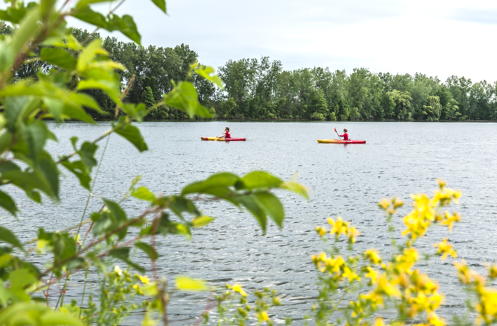 Soaring Eagle Hideaway RV Park