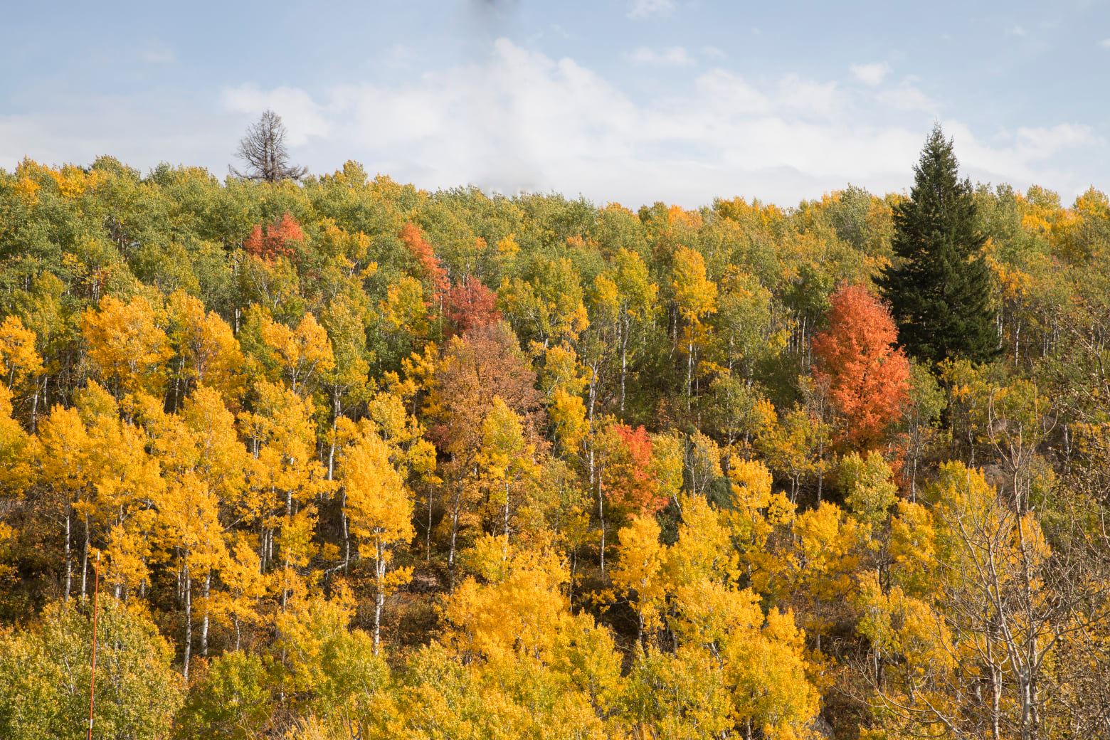 Yellowstone RV Park at Macks Inn, Island Park, Idaho