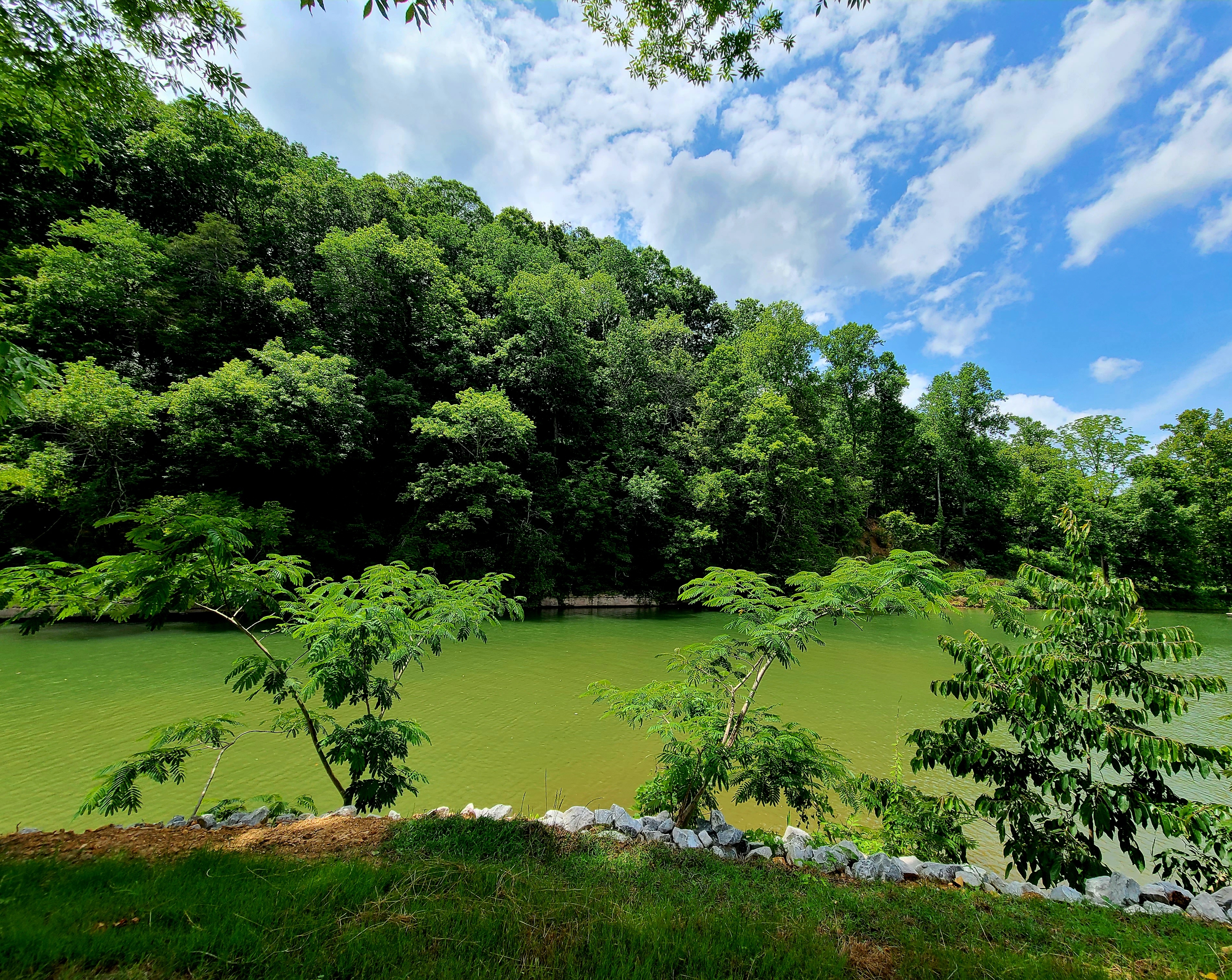 Creekside Camp, Florence, Alabama