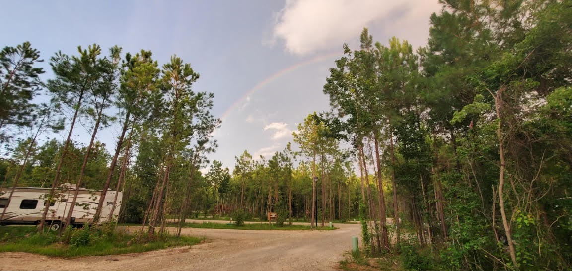 Natures Trace, Bayboro, North Carolina