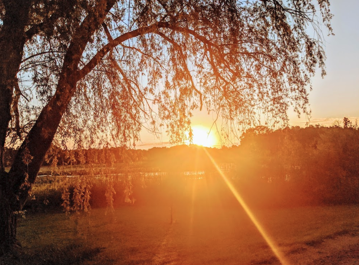 Spirit Springs Campground