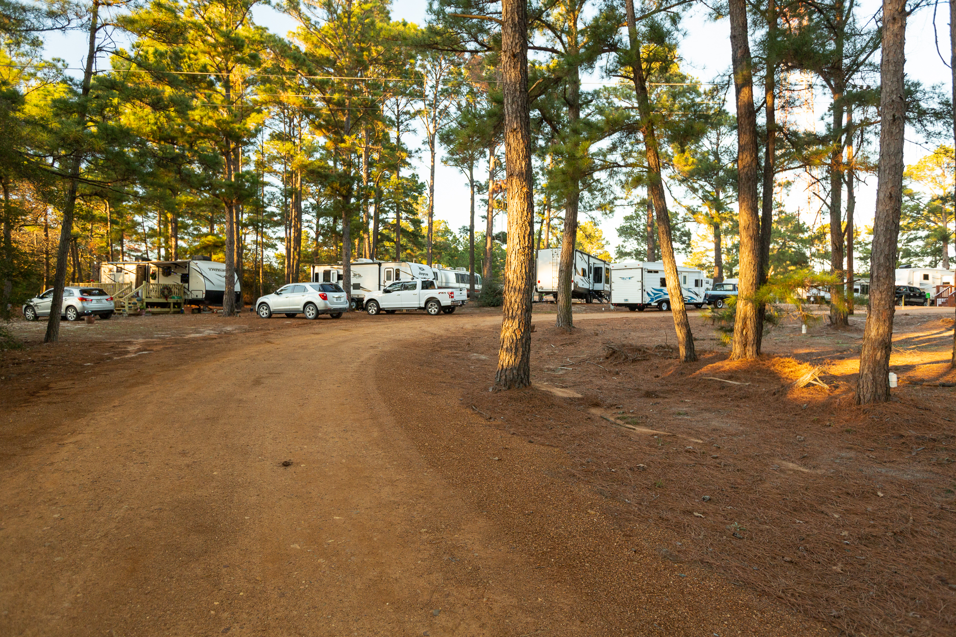 The Pines at Bastrop RV Park