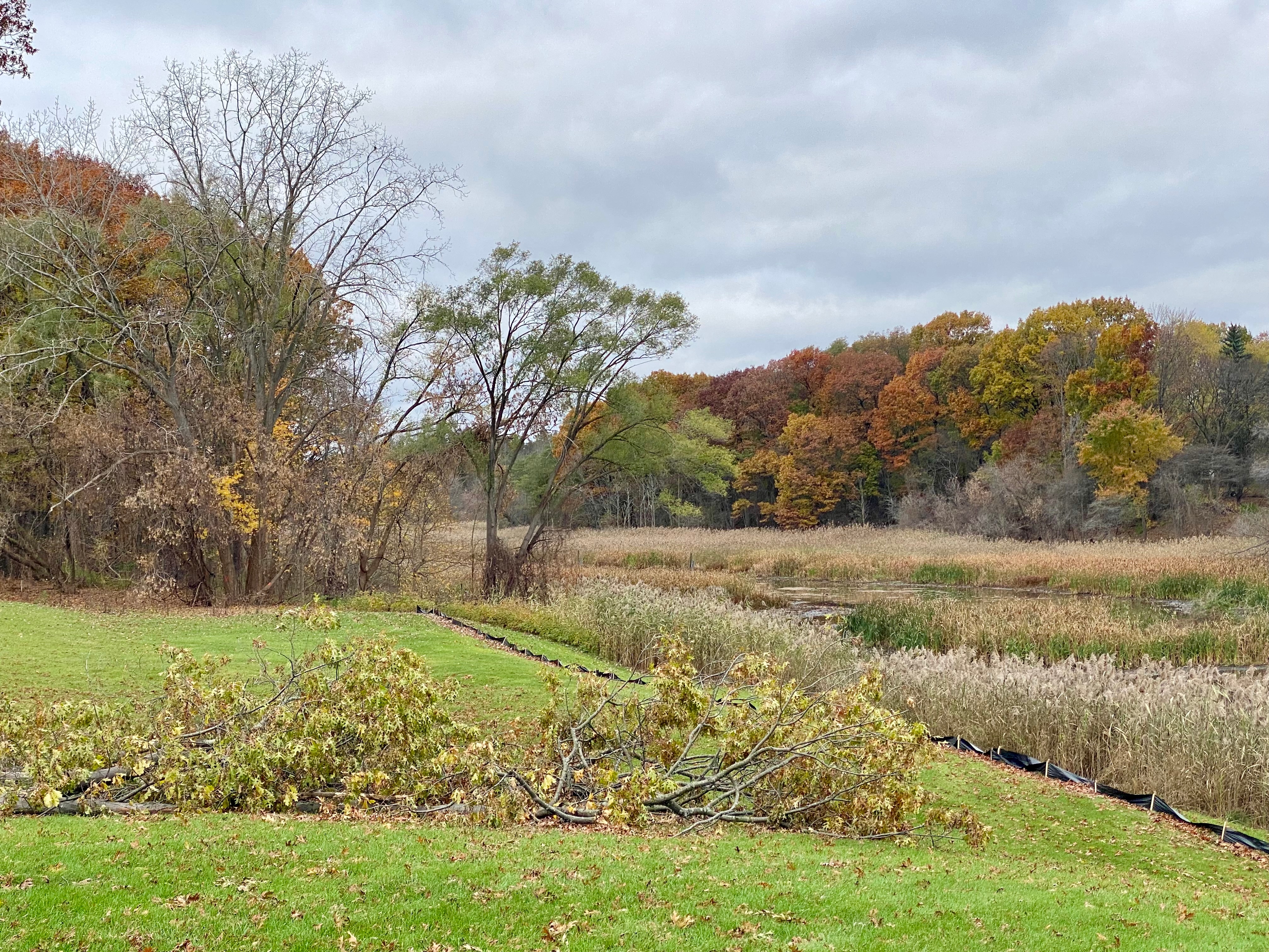 Dancing Fire Glamping and RV Resort, Port Huron, Michigan