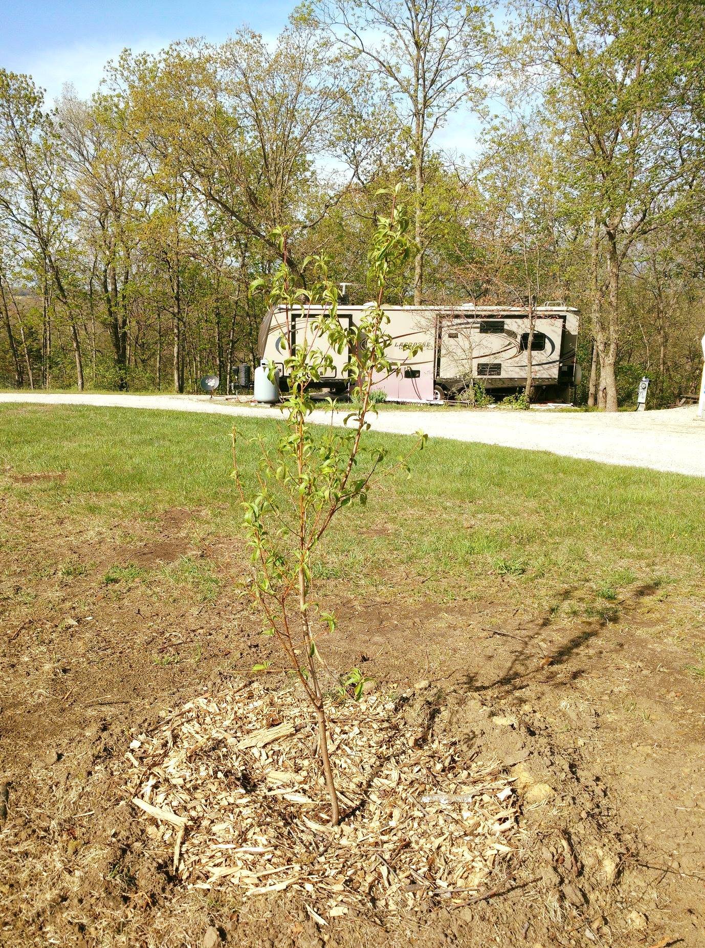 Homewood RV Park