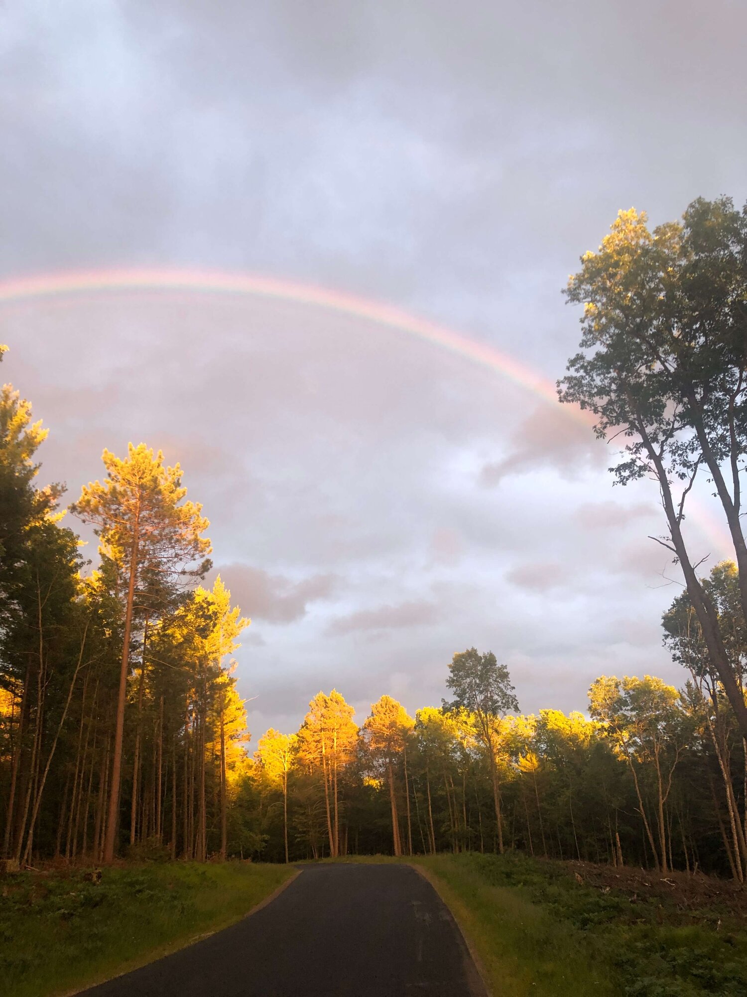 Peaceful Pines Resort