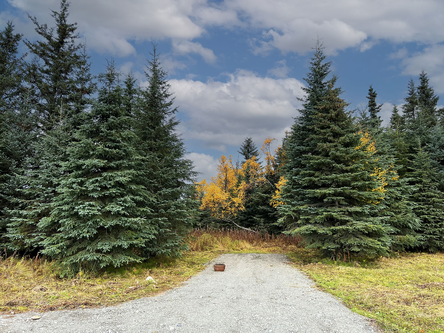 Blue Spruce Campground, Ninilchik, Alaska