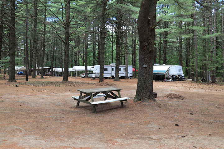 Pine Ridge Park Campsite