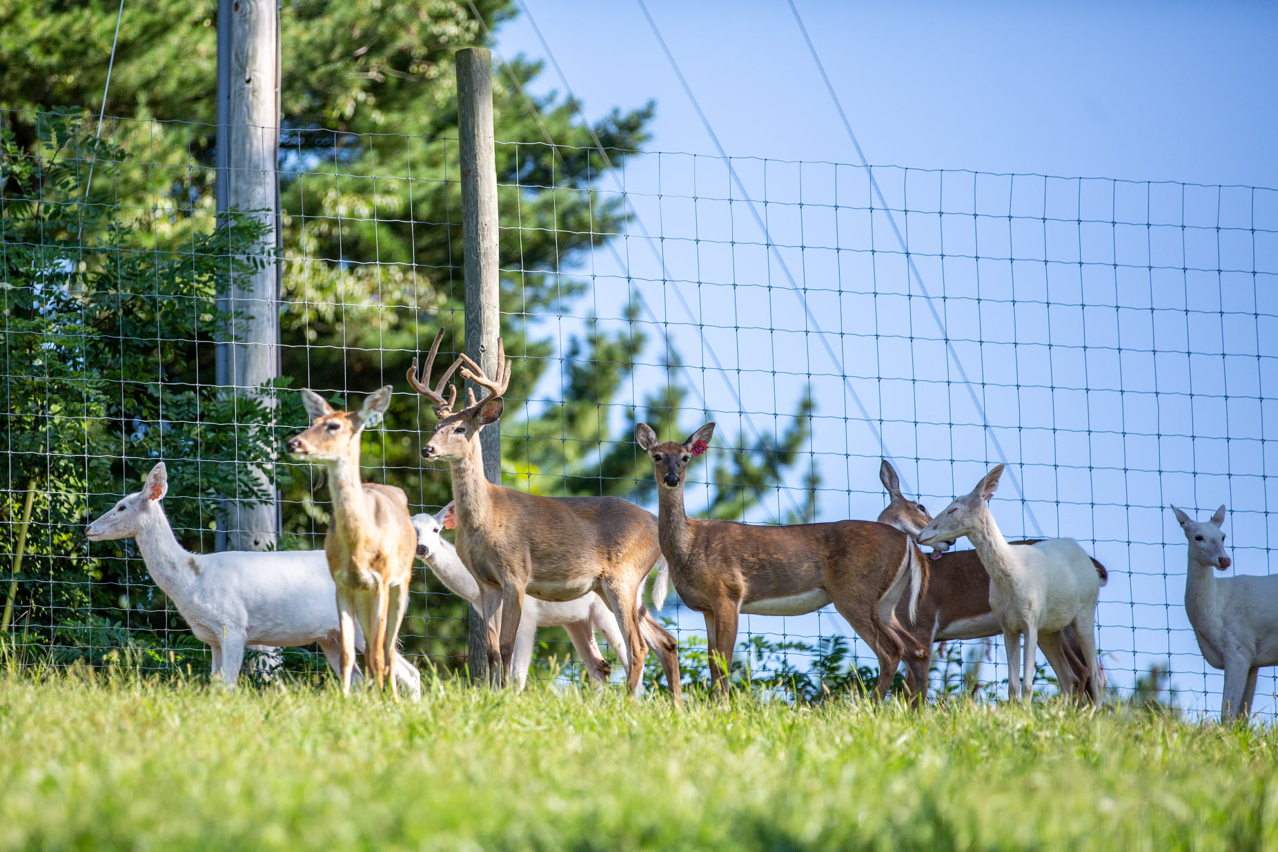 Deerassic Park Family Campground, Lore City, Ohio