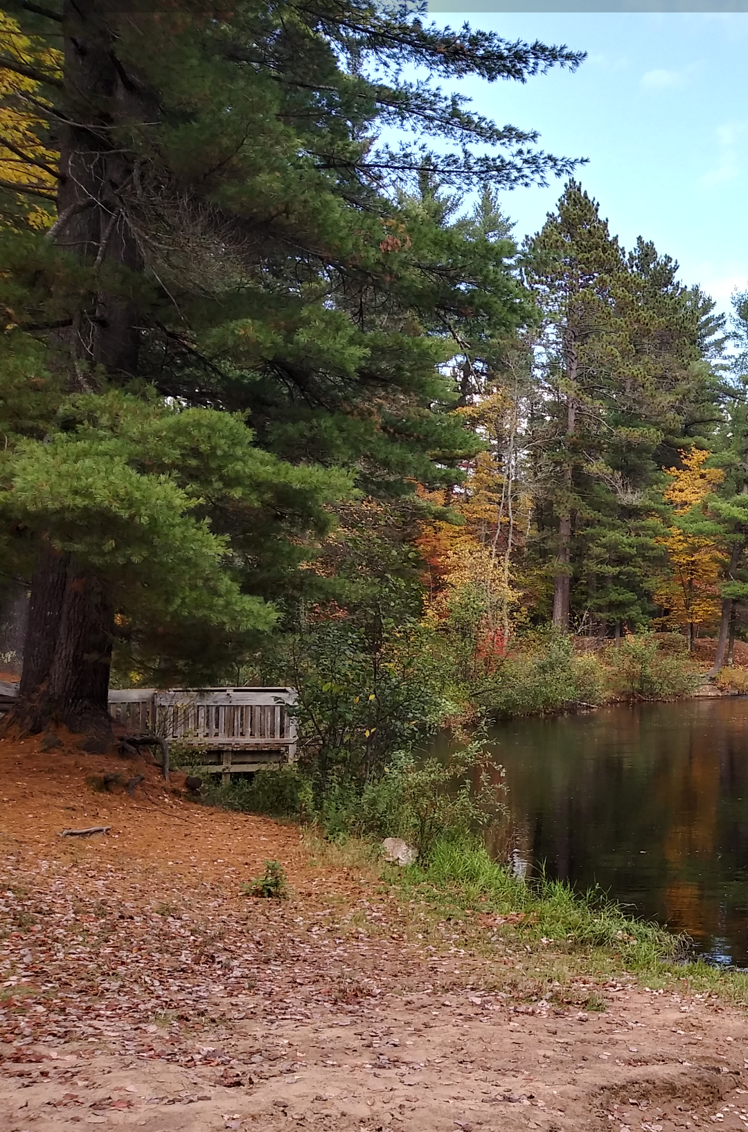 Farquar-Mesta Tourist Park & Campground