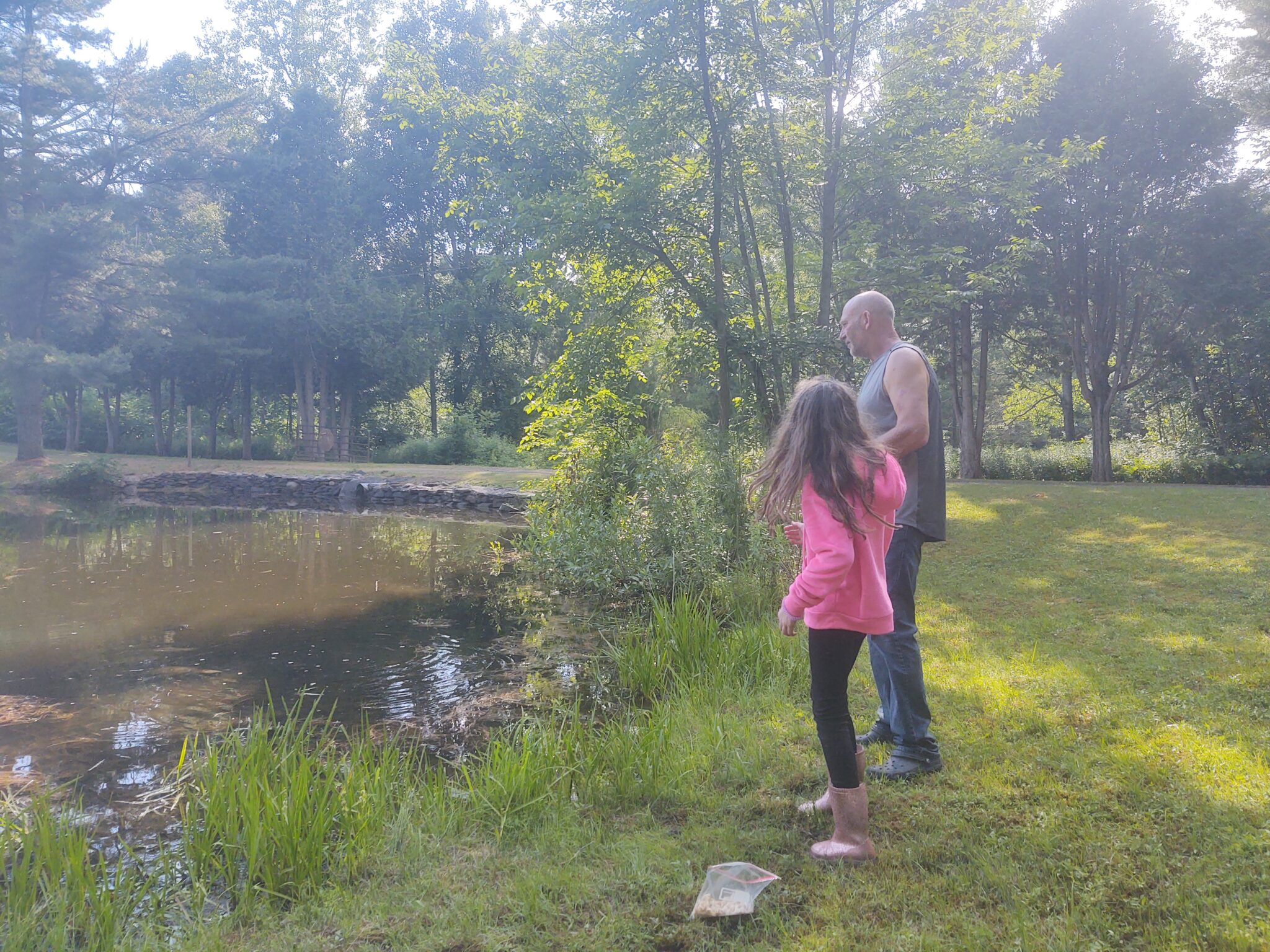 Aurora B's Family Campground