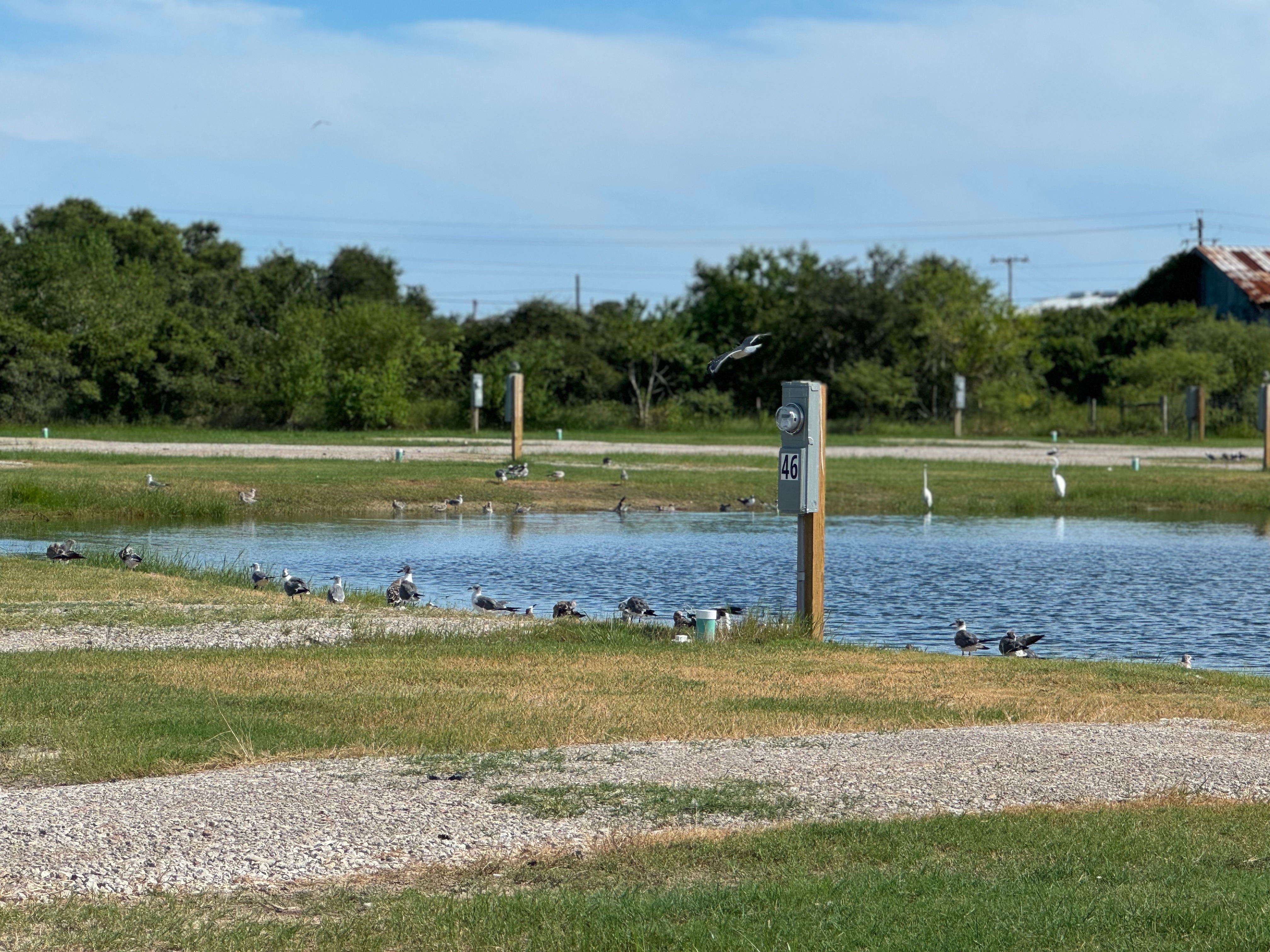 End of the Road RV Park, Port O'Connor, Texas