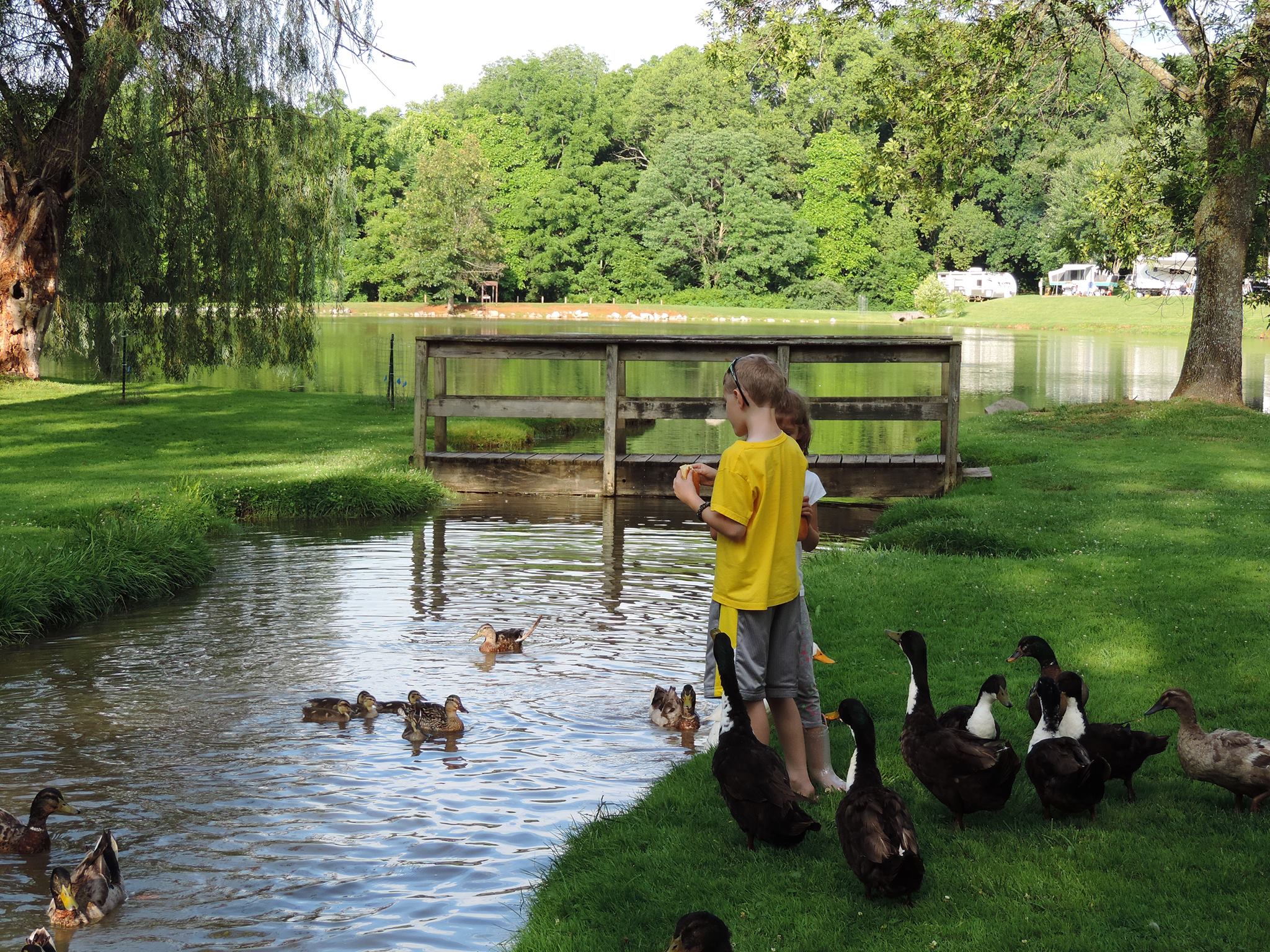 Walnut Hills Campground and RV Park