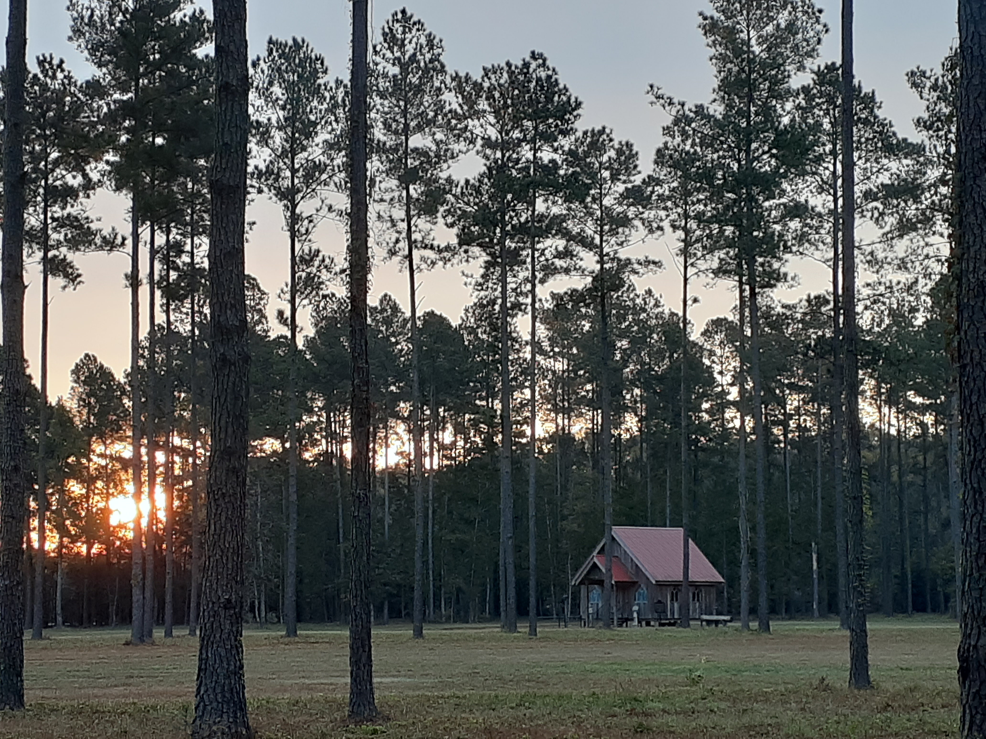 Broxton Bridge Campgrounds, Ehrhardt, South Carolina