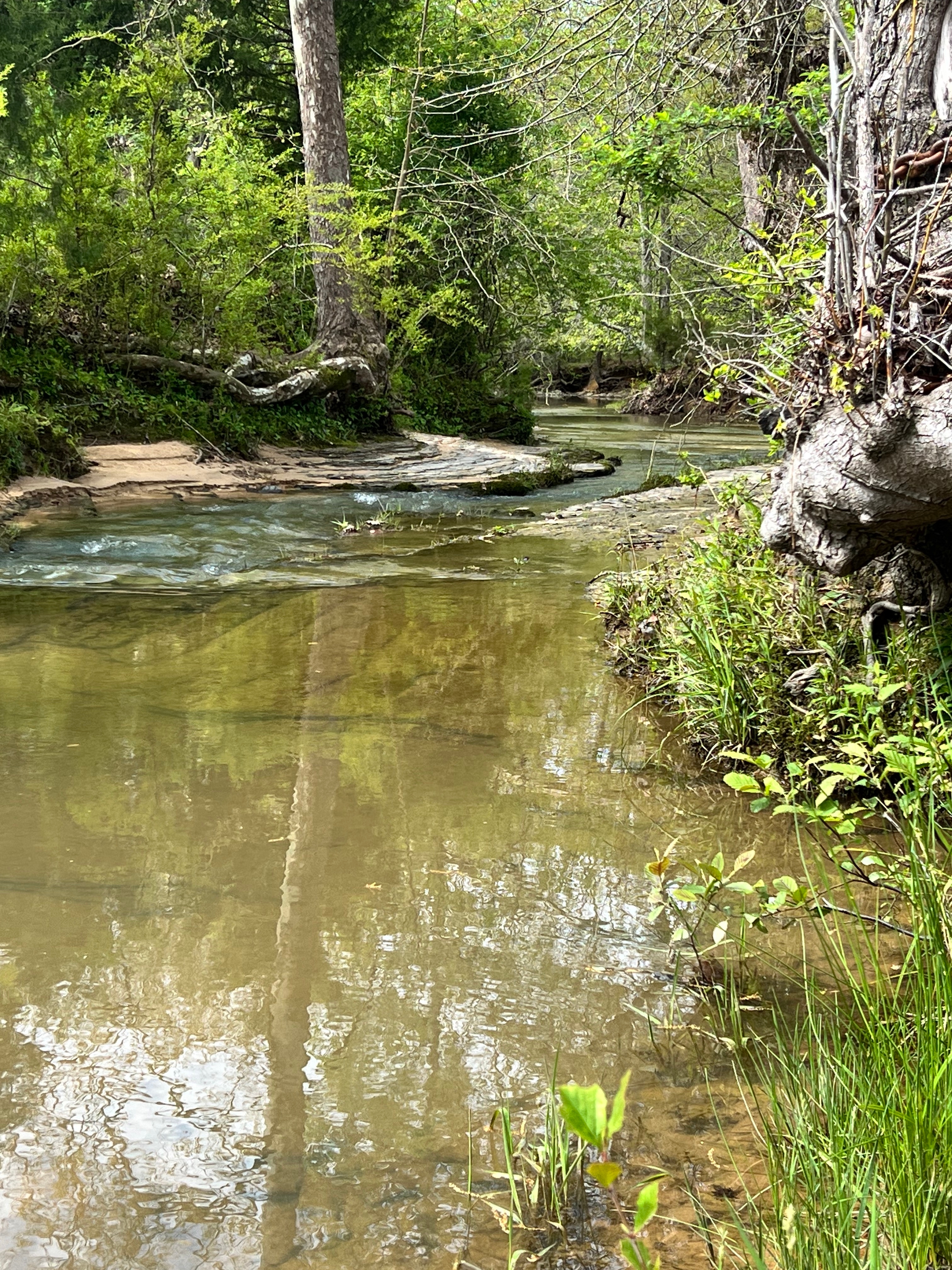 Lazy Acres RV Park, Fayette, Alabama