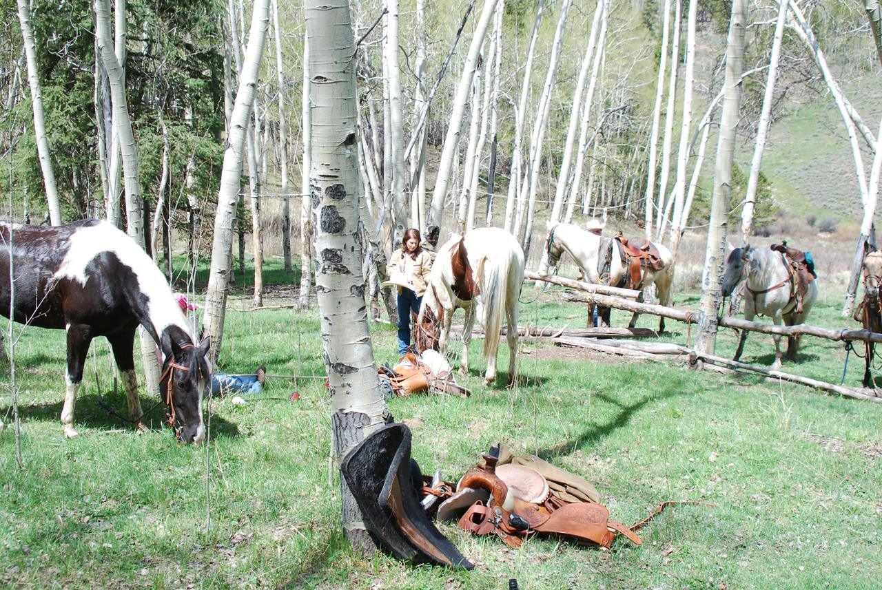 Harmel's Ranch Resort