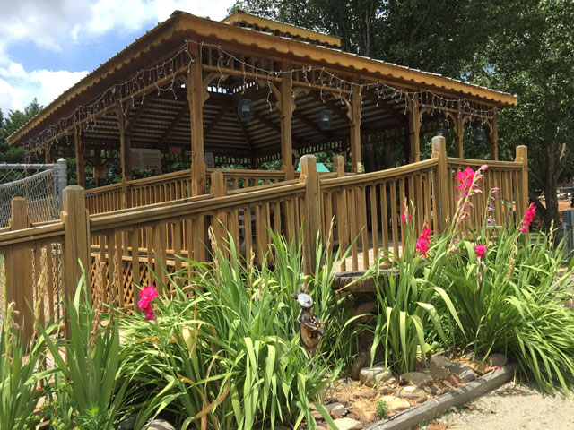 Twin Oaks Campground, Elko, Georgia