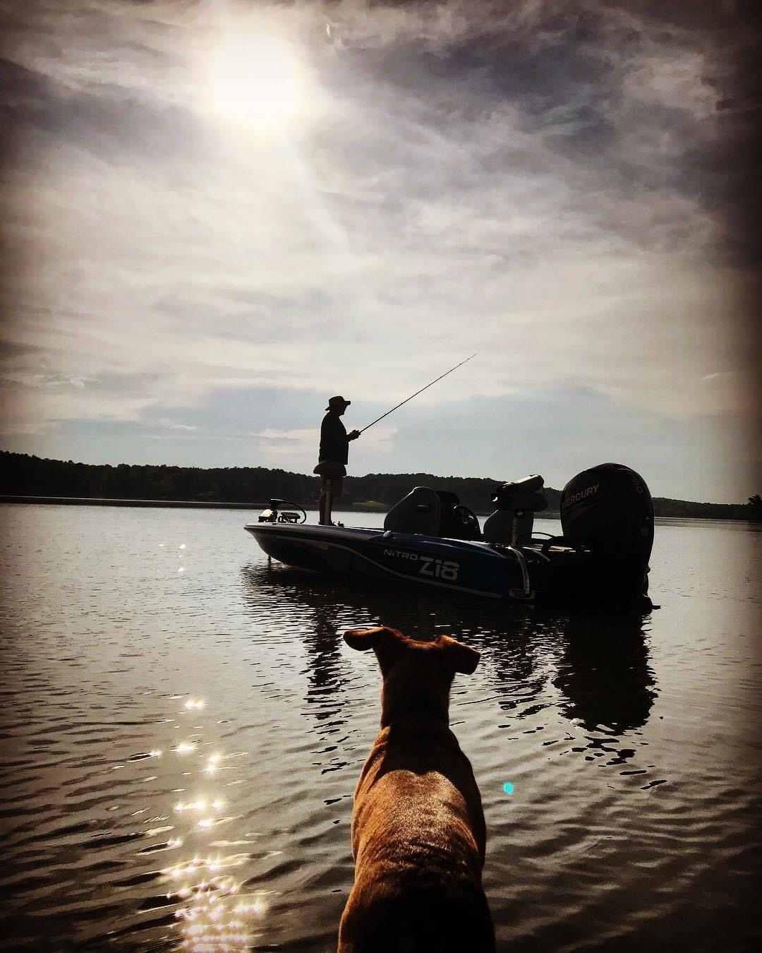 Whites Creek Lake Campground