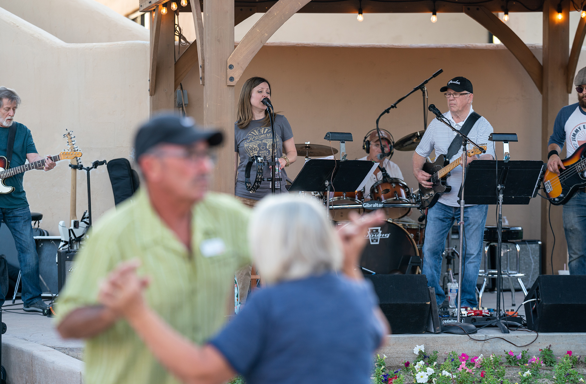 Sunflower, Surprise, Arizona