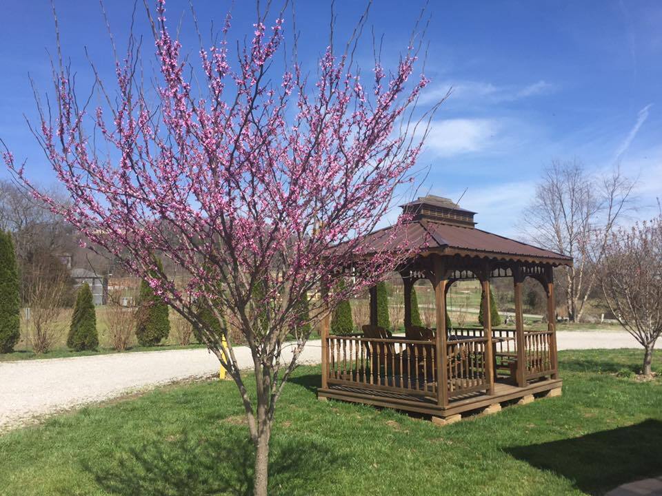 Cave Country RV Campground