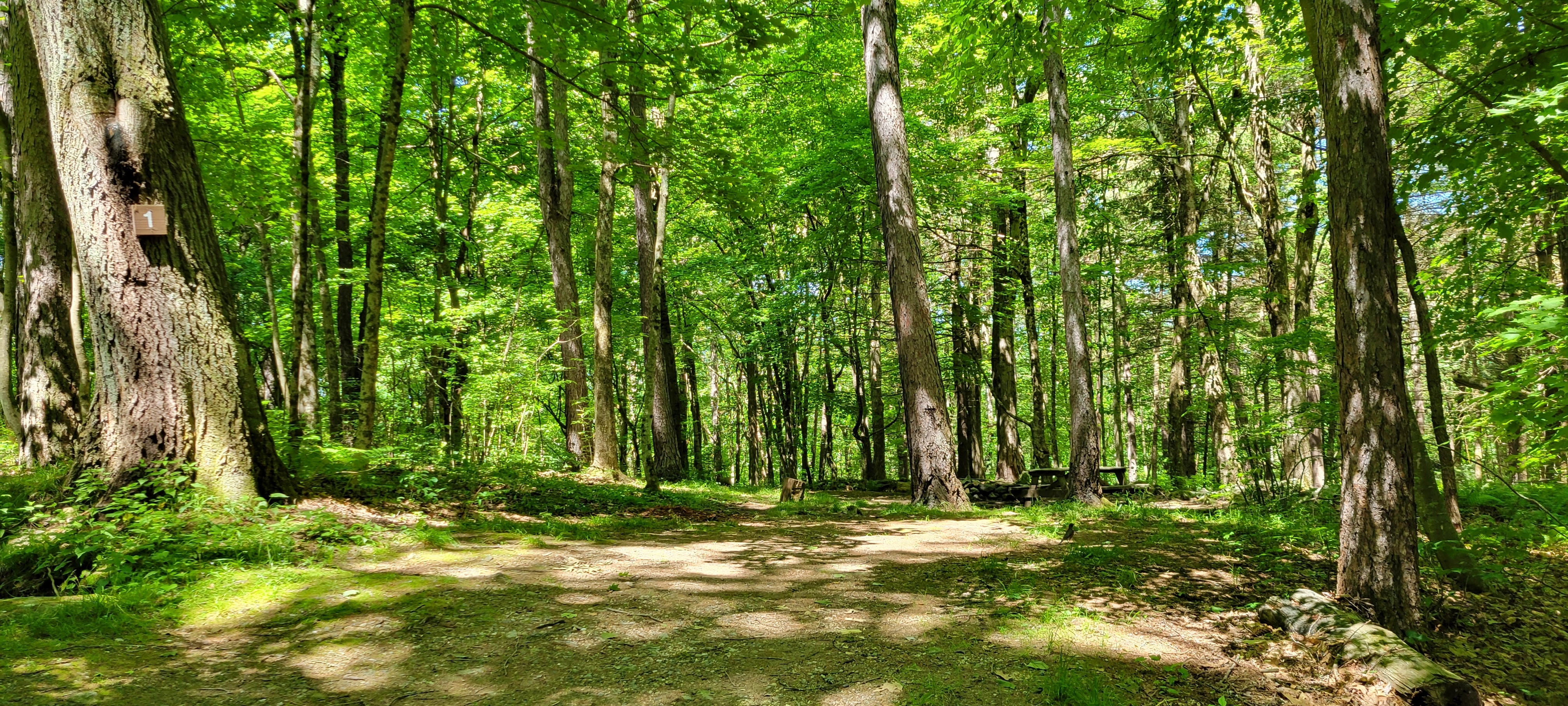Windmill Hill, Litchfield, Connecticut