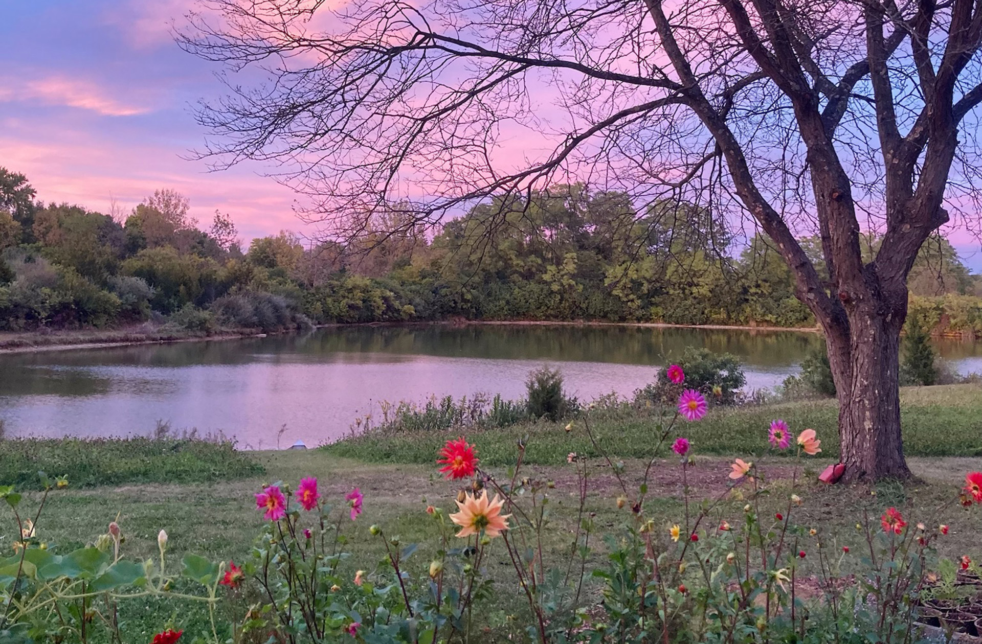 Oak & Ember Farms, Dayton, Ohio