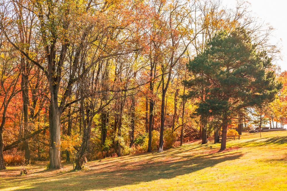 Valley View Campground, Guttenberg, Iowa