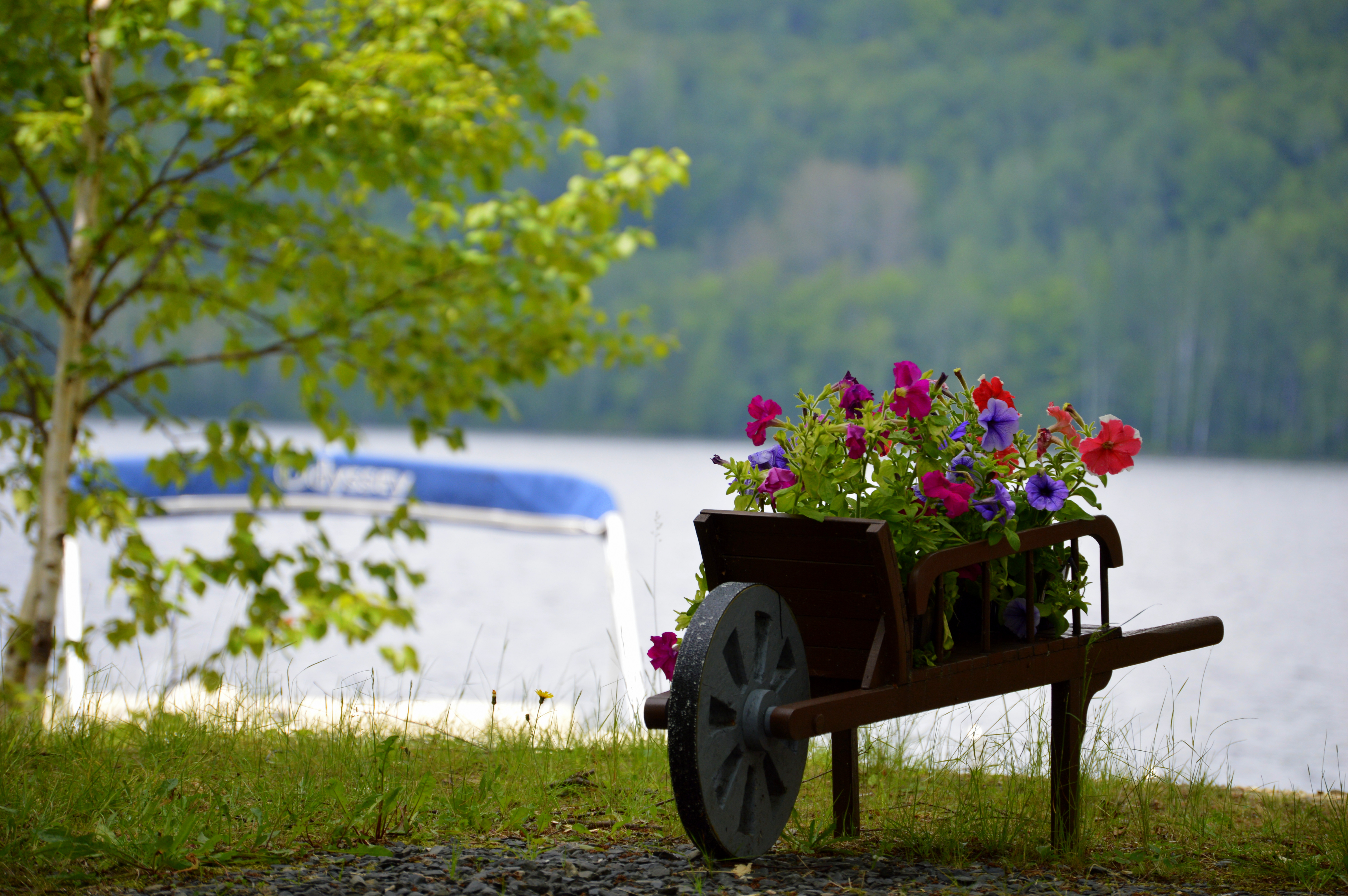 Birch Haven Campground, Eagle Lake, Maine