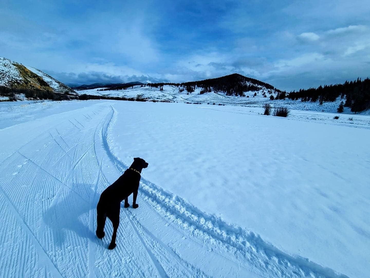 Tomichi Creek Trading Post