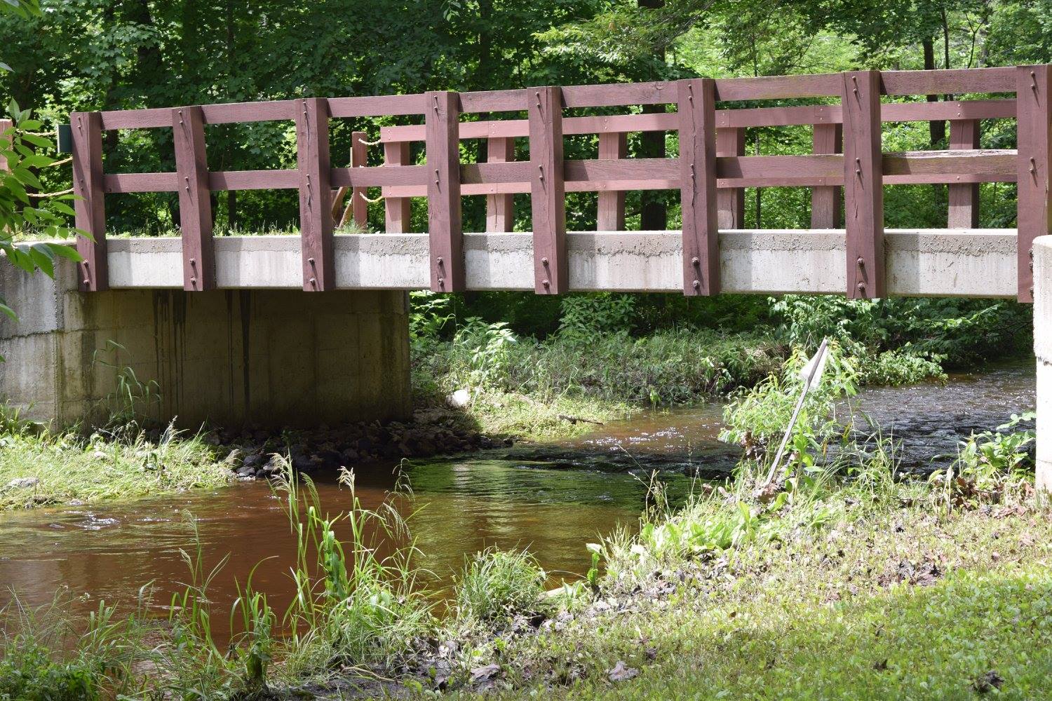 Duke Creek Campground, Cedar Springs, Michigan