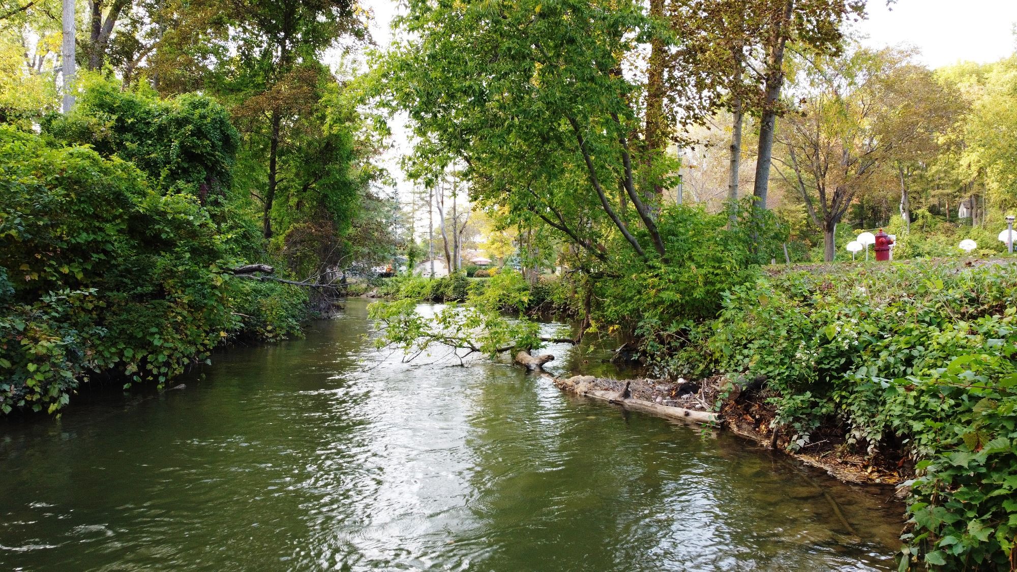 Gladwin City Park and Campground, Gladwin, Michigan